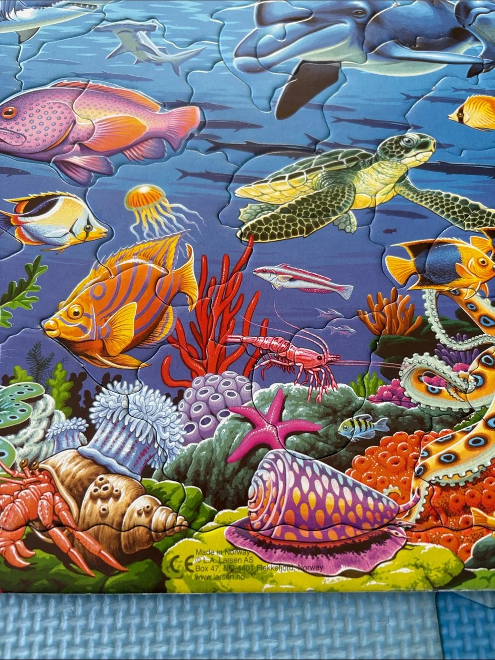 Sea life puzzle